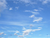 �Ă̒�1
